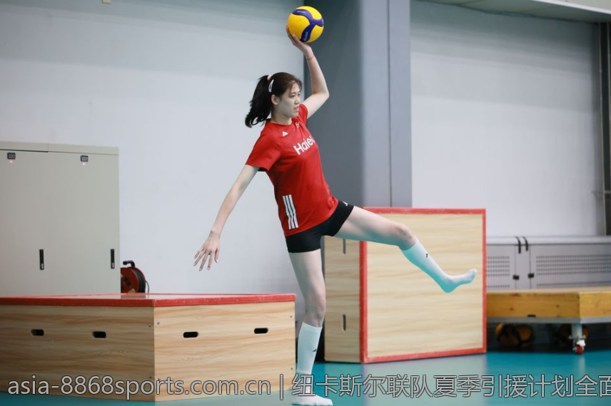 纽卡斯尔联队夏季引援计划全面解析